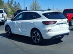 2024 Ford Escape ST-Line Select