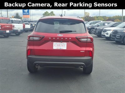 2025 Ford Escape Hybrid ST-Line Select